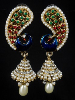 Fashion Earrings